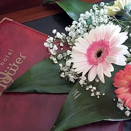 Flower فندق نوفي ليغوري