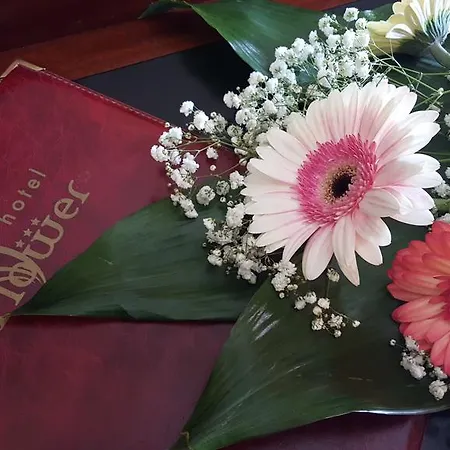 Flower 3*